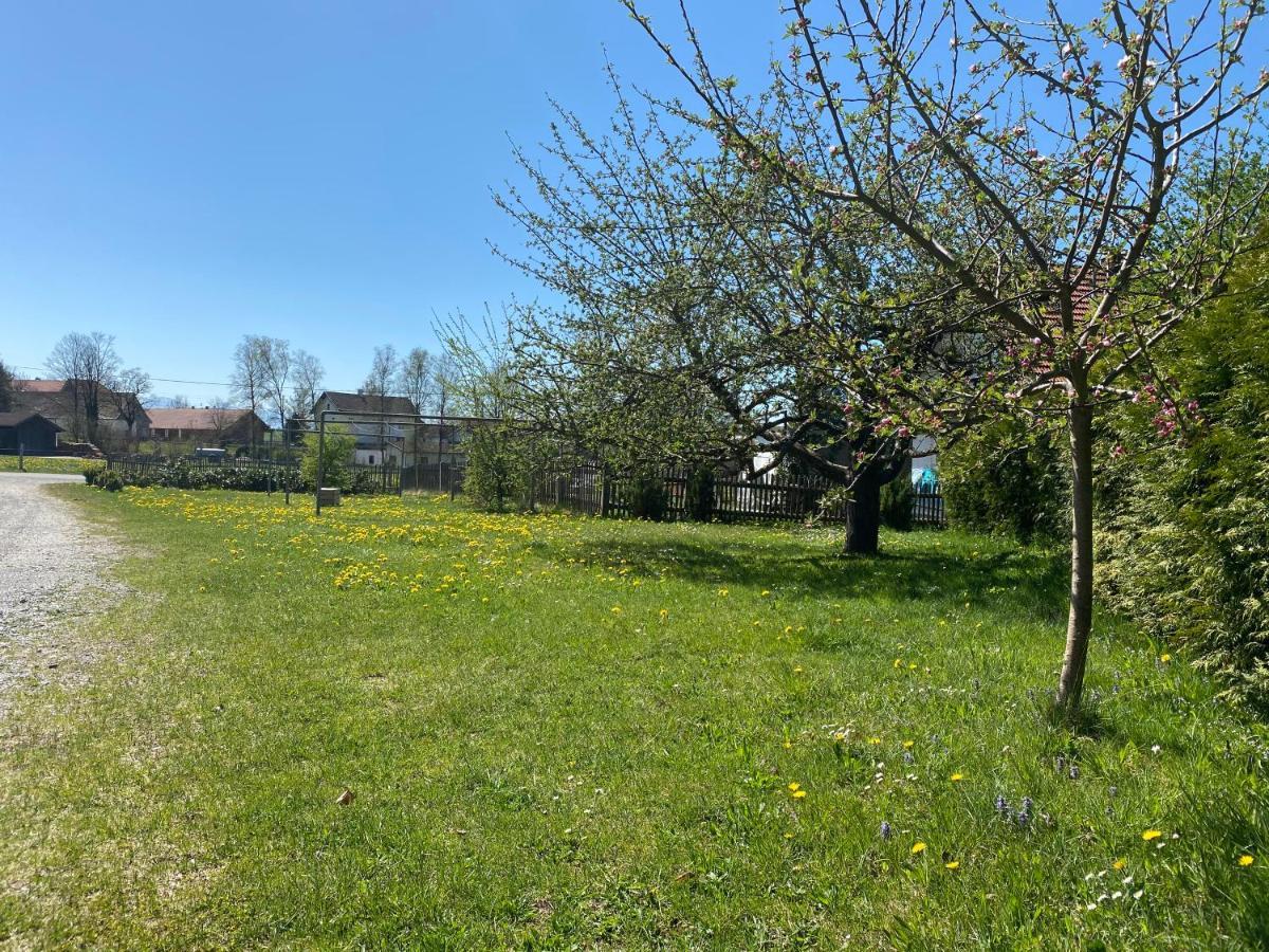 Gasthof Graf Steingaden Esterno foto